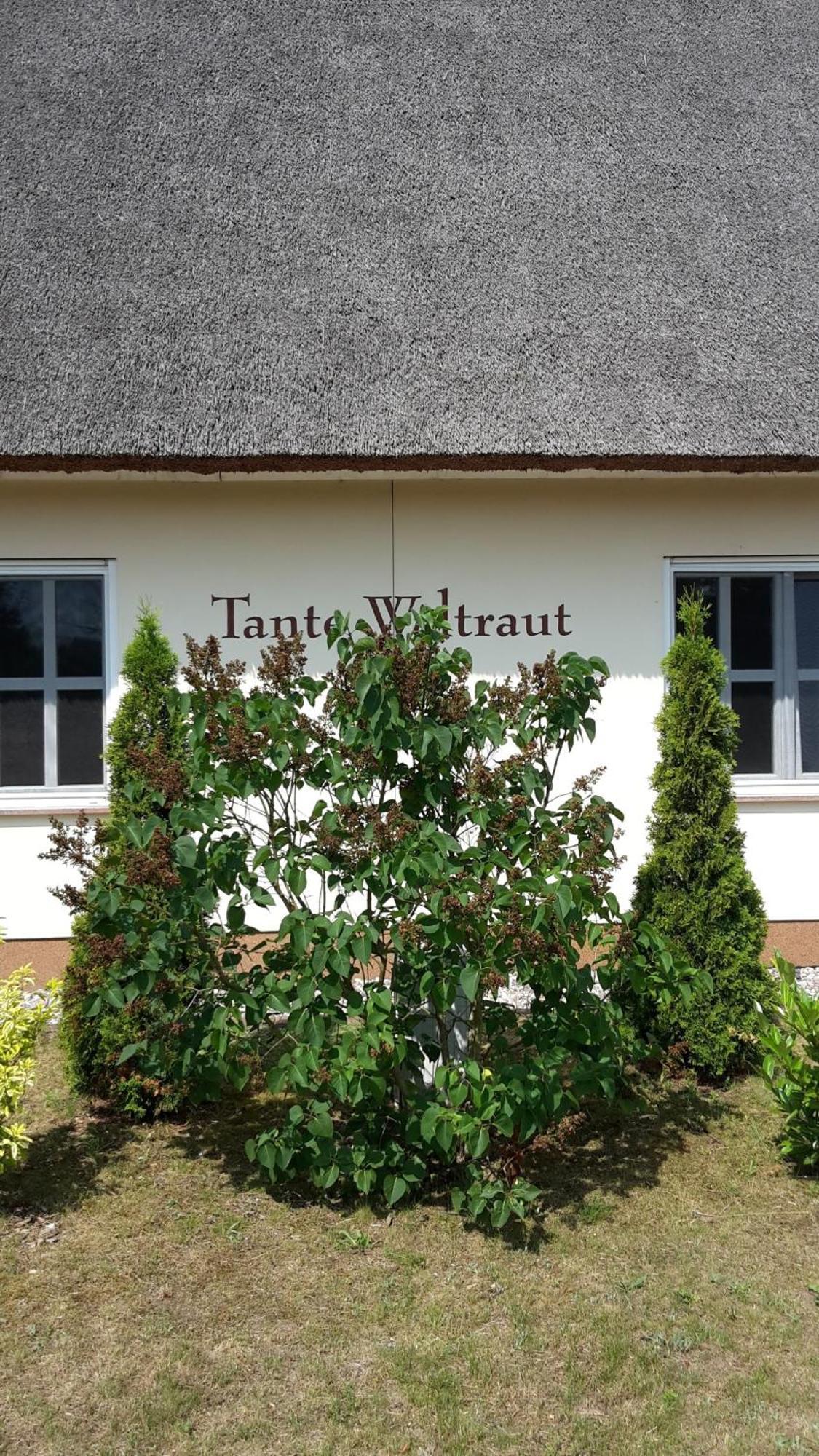 Vila Haeuschen "Tante Waltraut" Garz  Exteriér fotografie